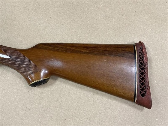 BASQUE 12 Gauge