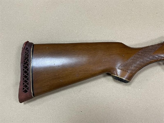 BASQUE 12 Gauge