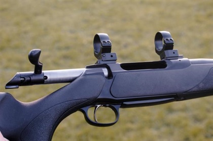 SAUER .243 202 OUTBACK