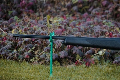 SAUER .243 202 OUTBACK