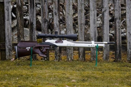STEYR .177 LG110 Target