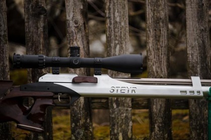 STEYR .177 LG110 Target