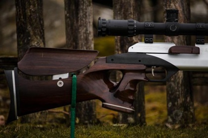 STEYR .177 LG110 Target