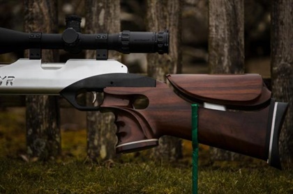STEYR .177 LG110 Target