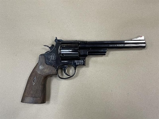 UMAREX .177 SMITH AND WESSON M29 6.5"