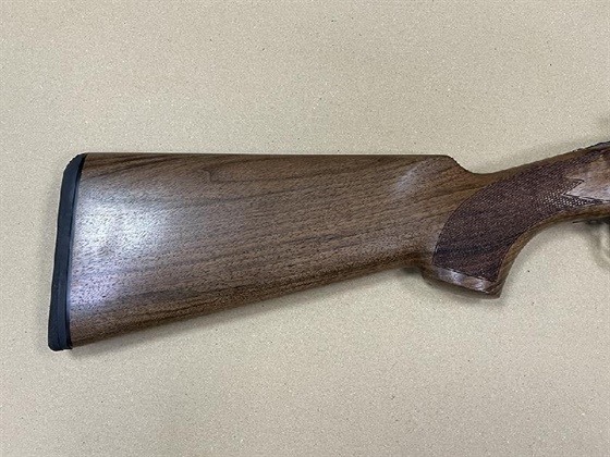 FABARM 12 Gauge ELOS D2 FIELD