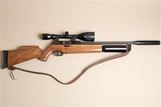 BSA .22 SUPER 10 FAC