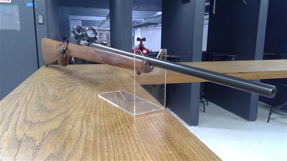 RUGER .22 WMR M77-22