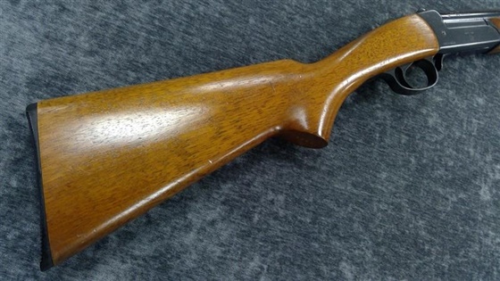 BSA 12 Gauge