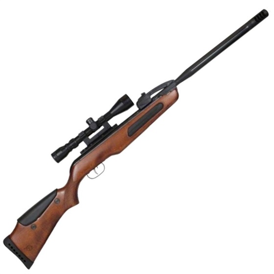 GAMO .22 MAXXIM ELITE SWARM IGT