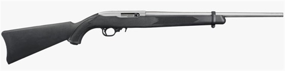 RUGER .22 LR 10 22 STAINLESS