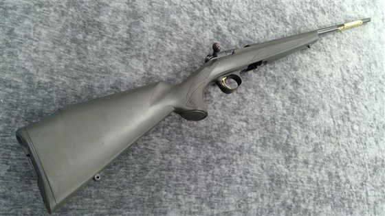 BROWNING .17 HMR T BOLT SPORTER