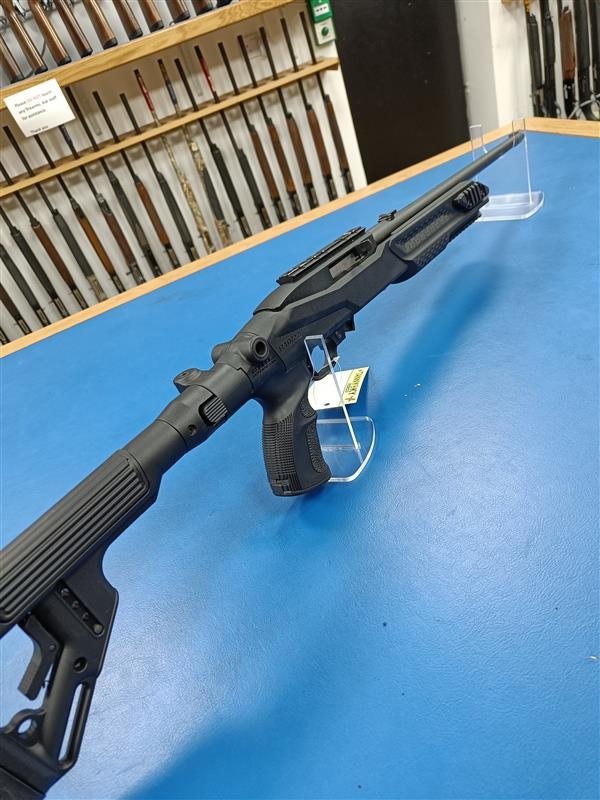 RUGER .22 LR 10 22