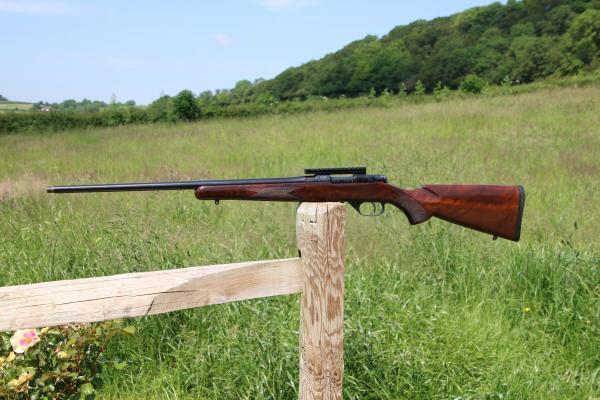 CZ .222 527 AMERICAN, VGC & CHEAP 527 AMERICAN, VGC & CHEAP