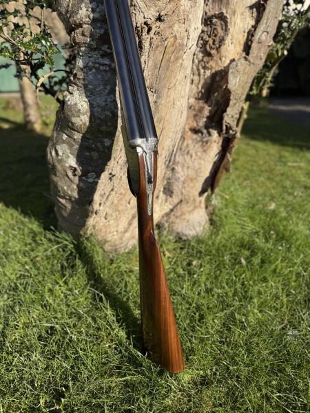 WATSON BROS 12 Gauge SIDELOCK EJECTOR