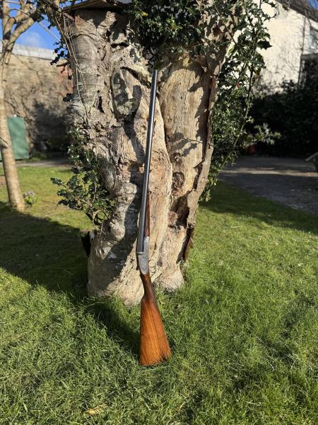 WATSON BROS 12 Gauge SIDELOCK EJECTOR