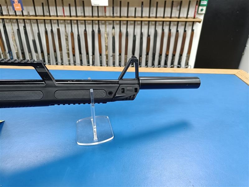WALTHER .22 LR G22