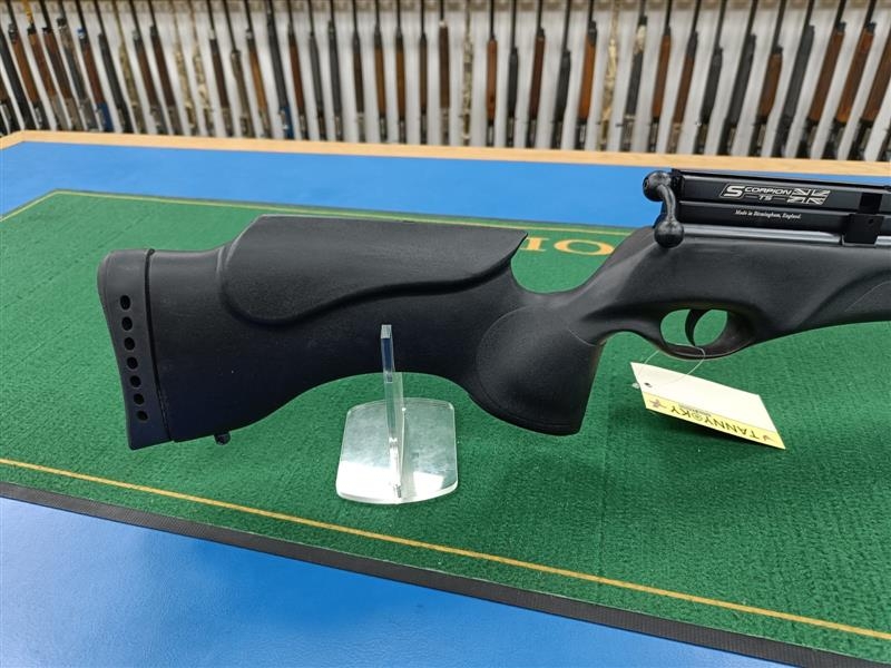 BSA .22 SCORPION TS