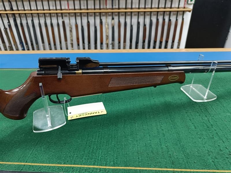 FALCON .22 FN19