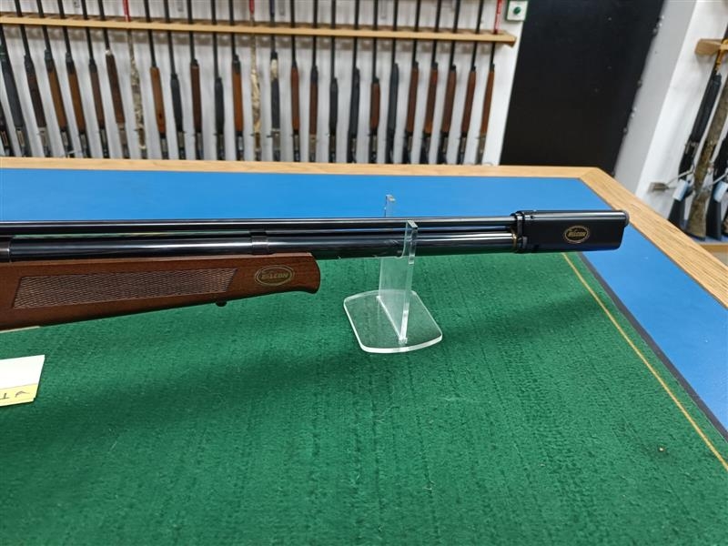 FALCON .22 FN19