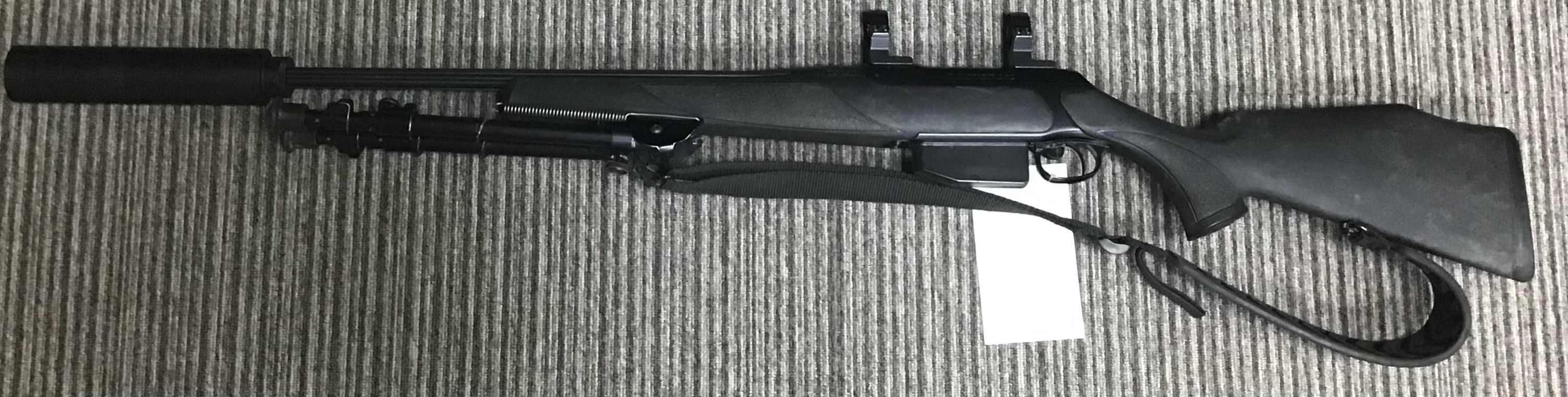 SAUER .243 202 XT