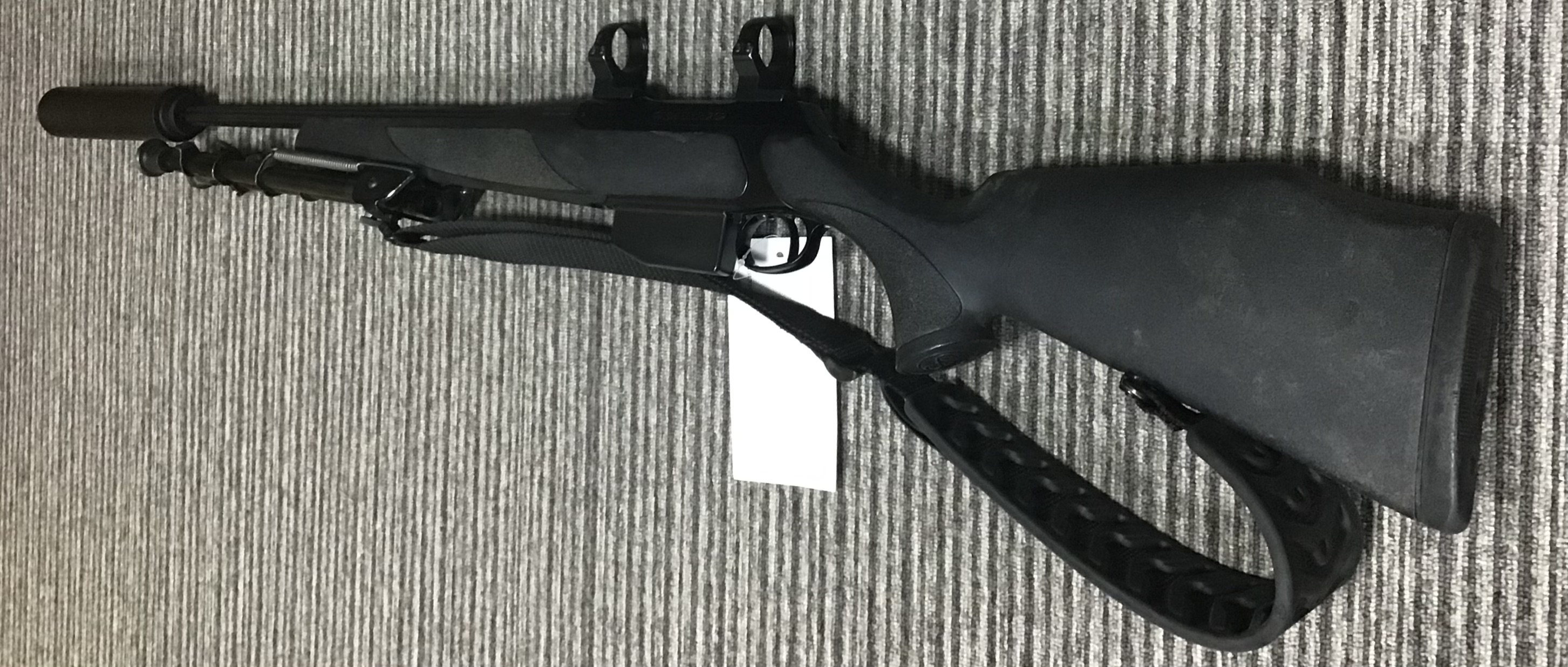 SAUER .243 202 XT