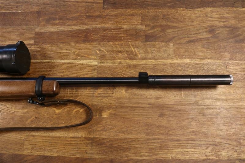 RUGER .22 LR 10 22
