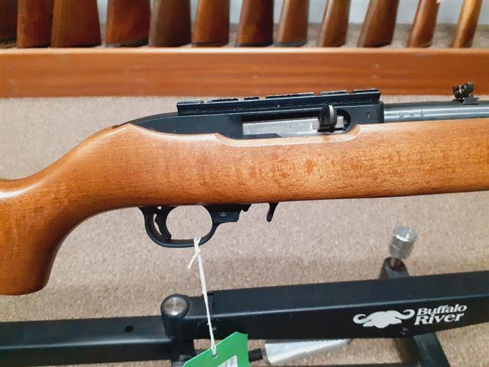 RUGER .22 LR 10 22
