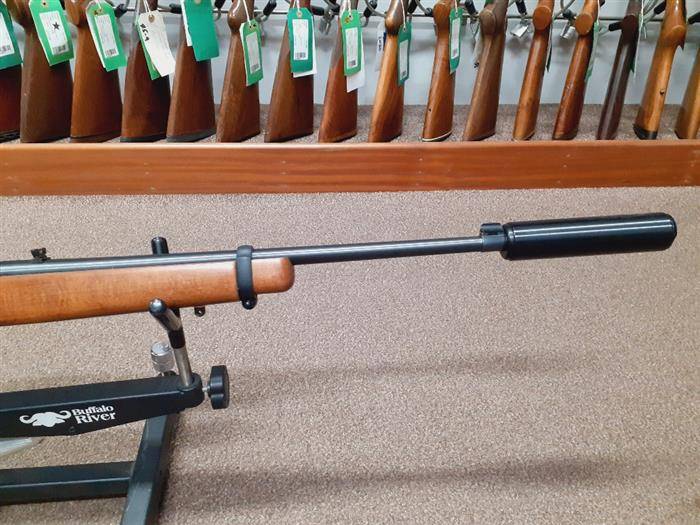 RUGER .22 LR 10 22