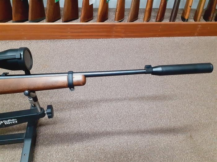 RUGER .22 LR 10 22