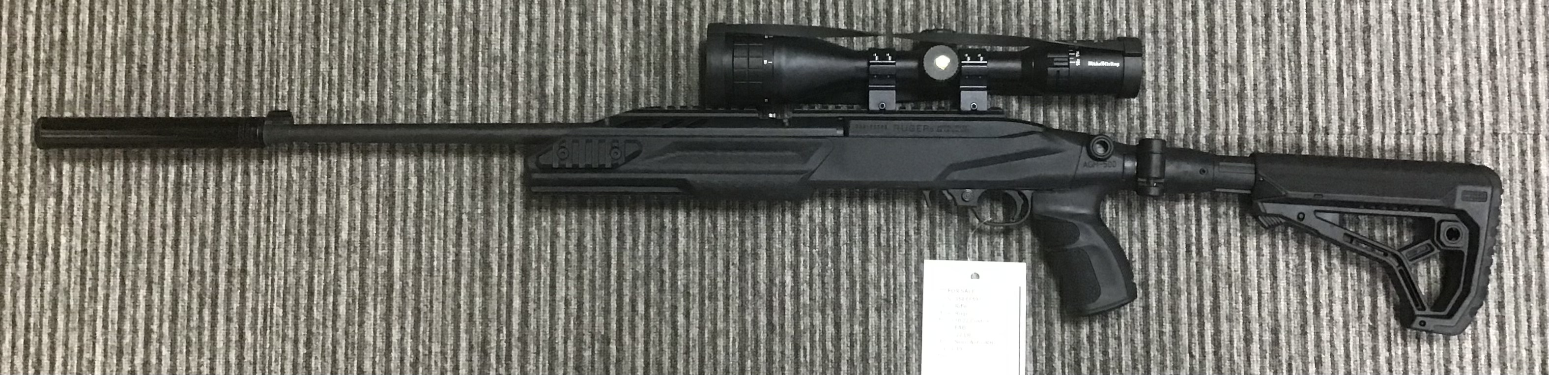 RUGER .22 LR 10 22 CUSTOM