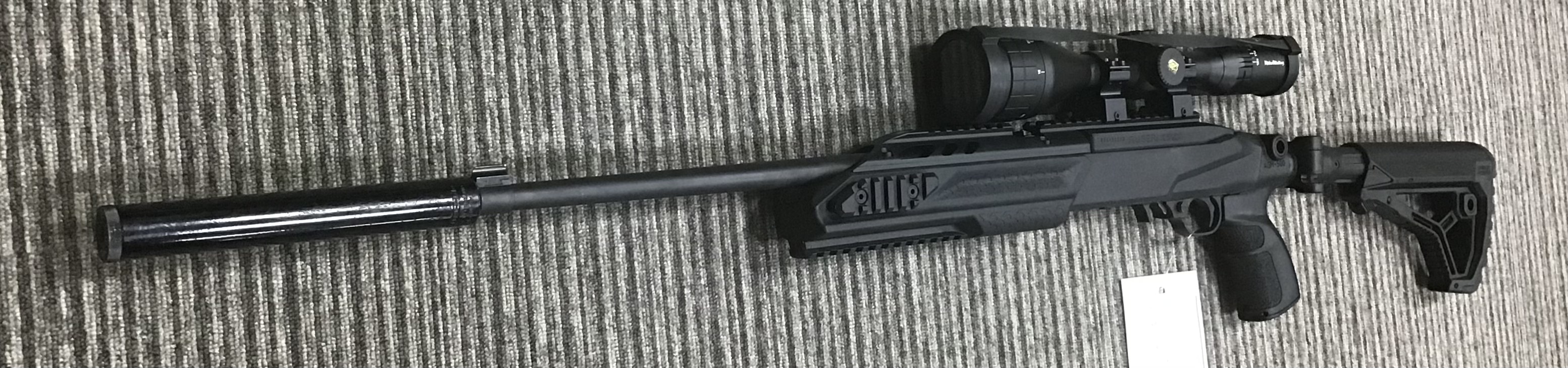 RUGER .22 LR 10 22 CUSTOM
