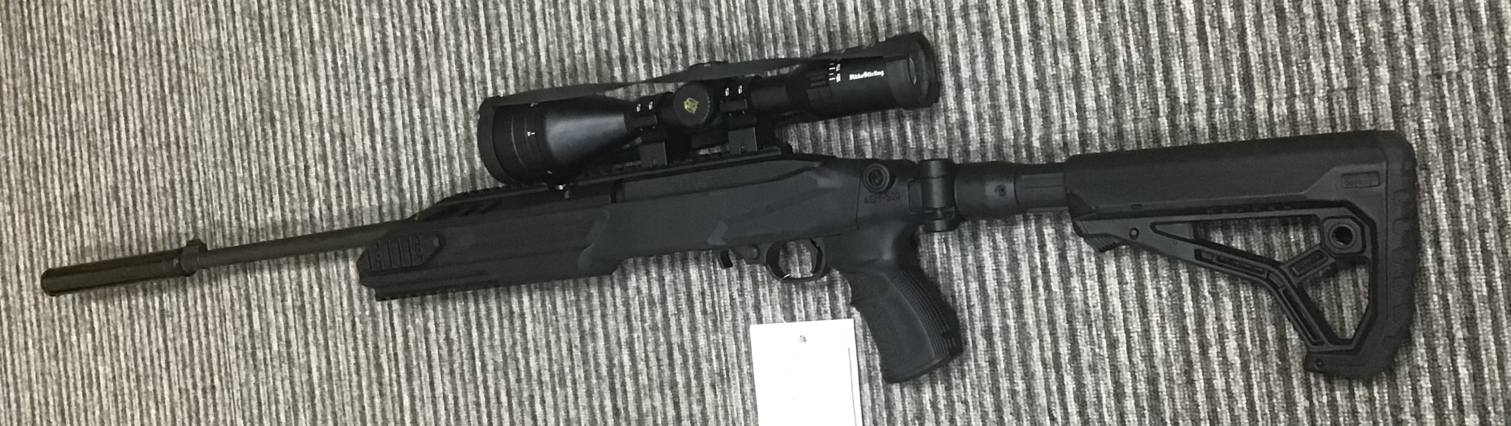 RUGER .22 LR 10 22 CUSTOM