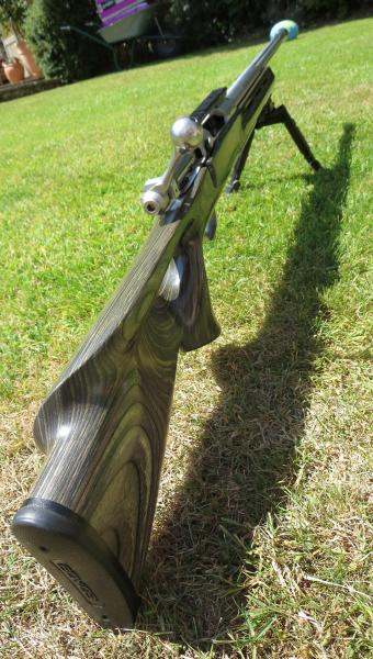 SAVAGE ARMS .308 MODEL 12