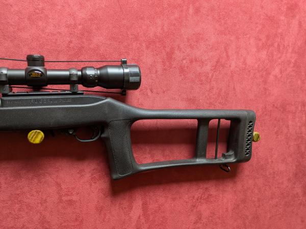 RUGER .22 LR 10 22