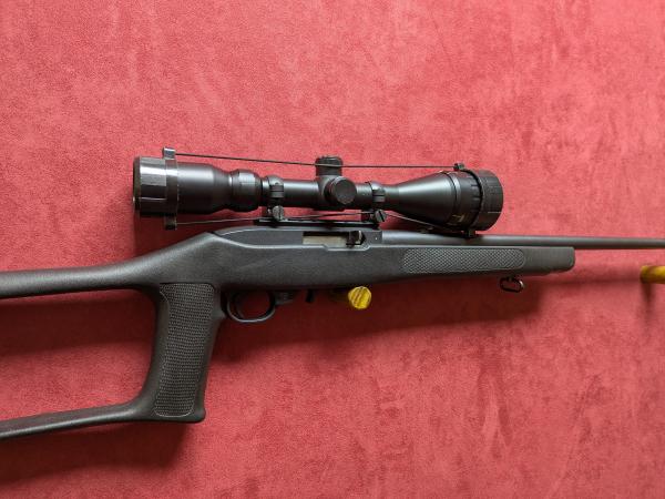 RUGER .22 LR 10 22