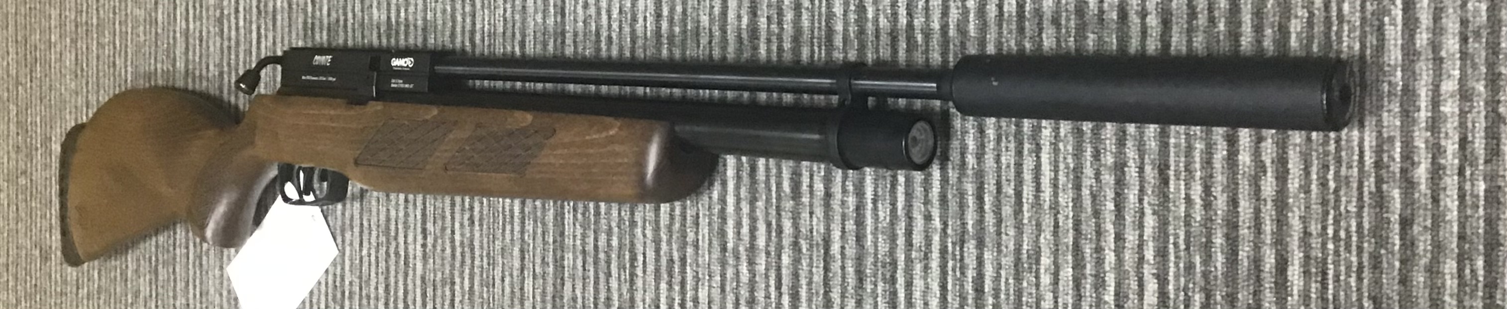 GAMO .22 COYOTE