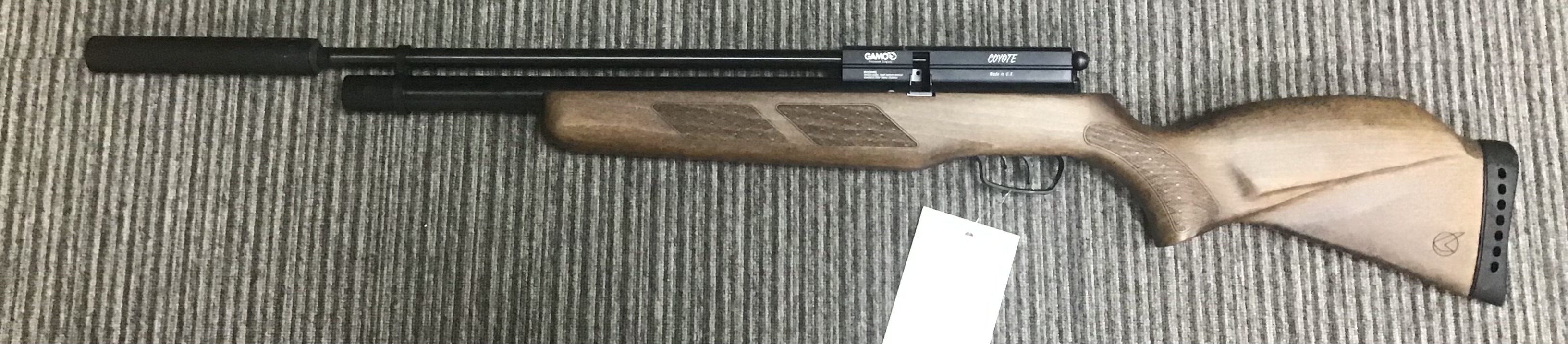GAMO .22 COYOTE