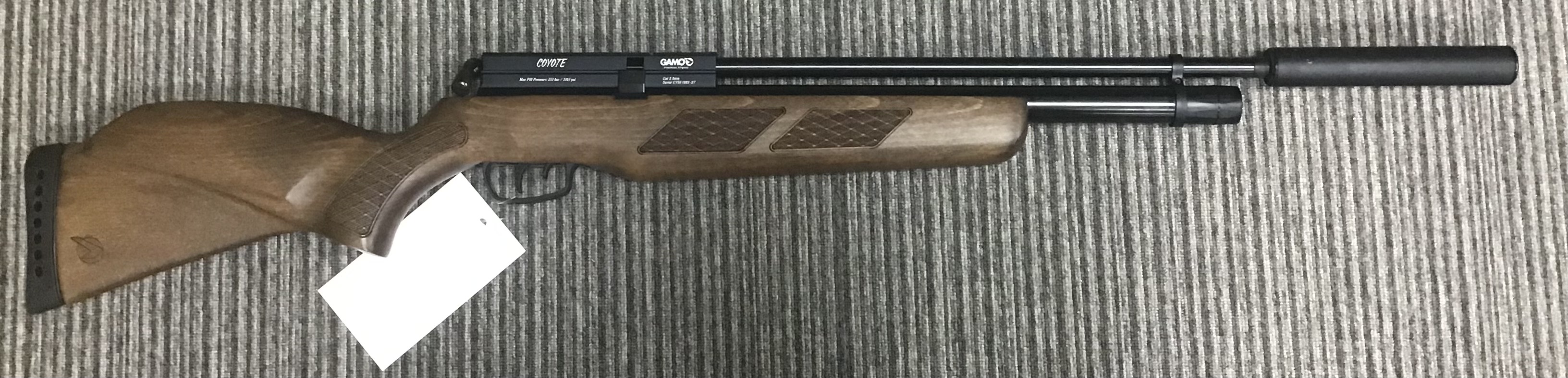 GAMO .22 COYOTE