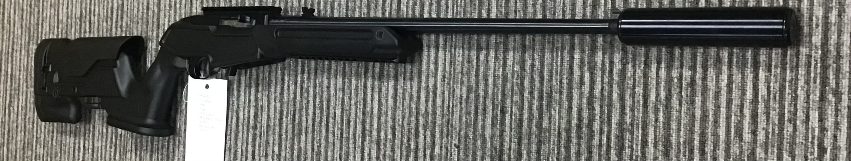 RUGER .22 LR 10 22 CUSTOM
