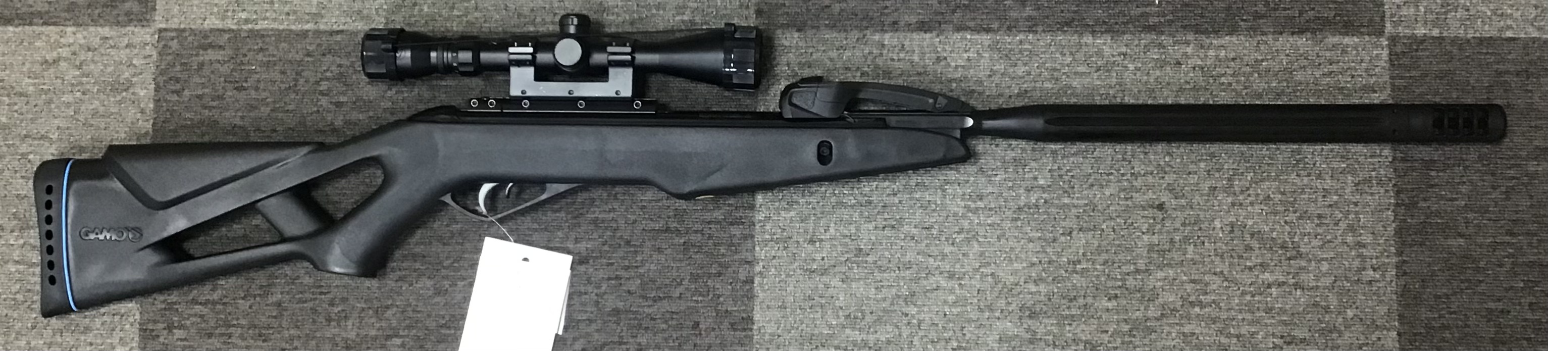 GAMO .22 WHISPER X SWARM