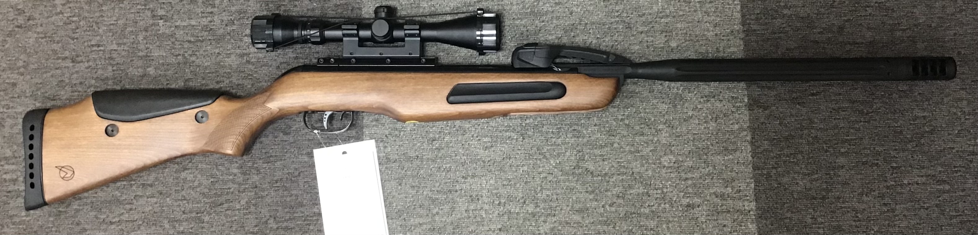 GAMO .22 MAXXIM ELITE SWARM