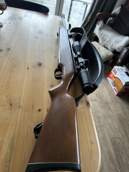 DIANA .22 Mod 48 Diana 48