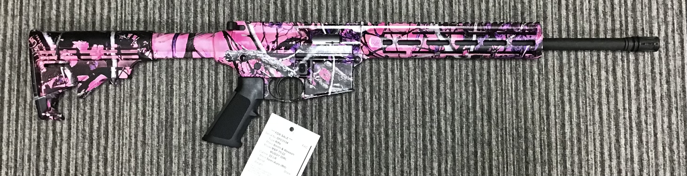 SMITH & WESSON .22 LR M&P 15-22