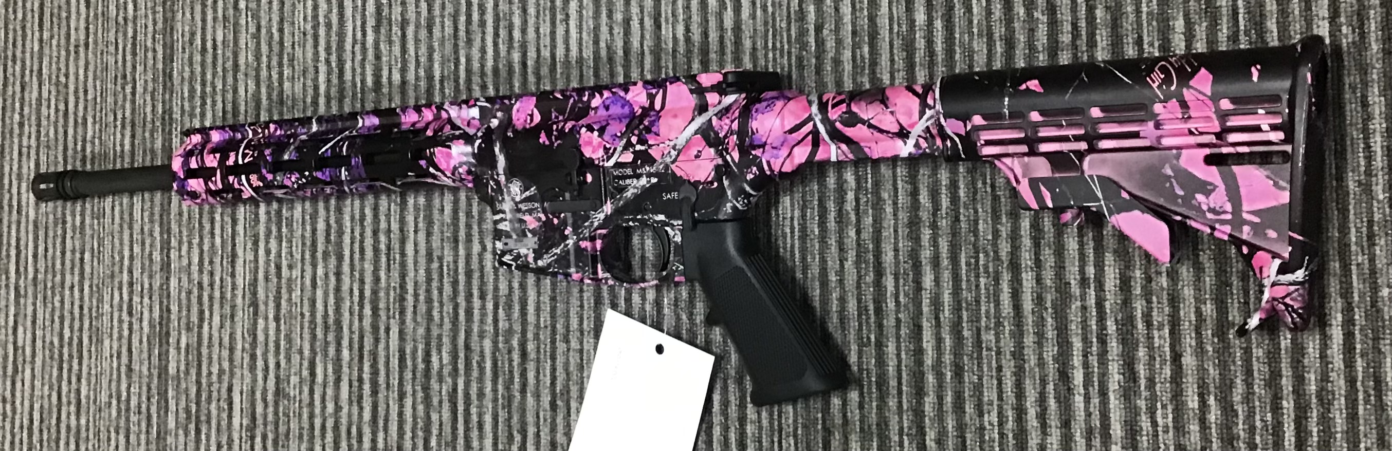 SMITH & WESSON .22 LR M&P 15-22