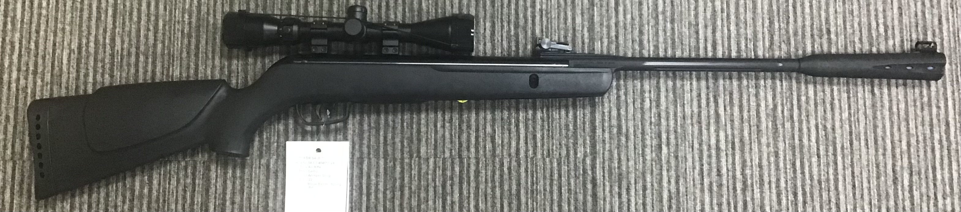 GAMO .22 VARMINT SWARM TACTICAL